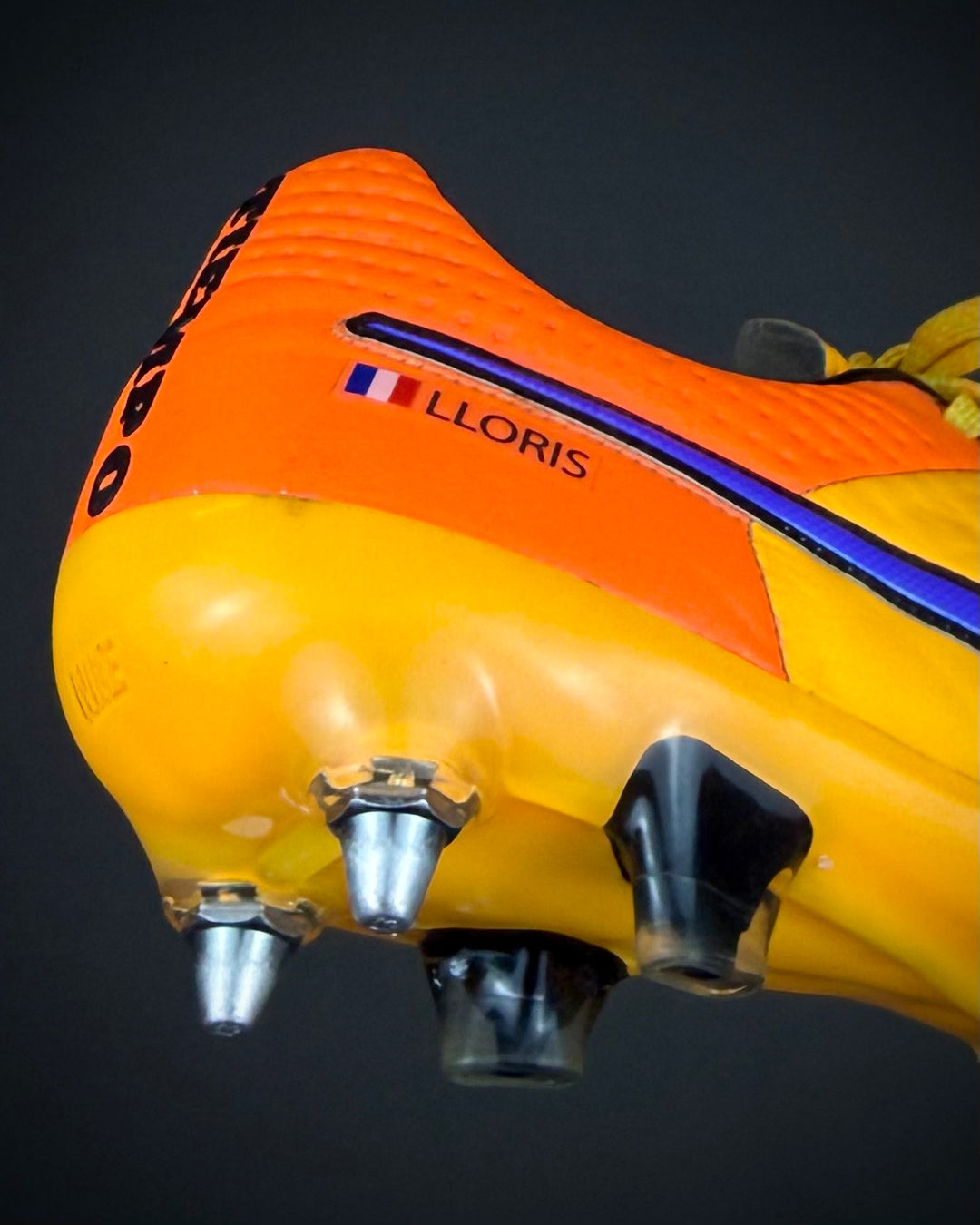 Hugo Lloris | Tottenham