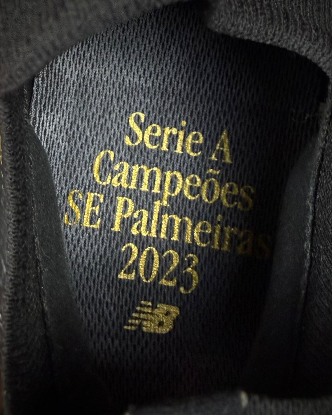 Endrick | Palmeiras