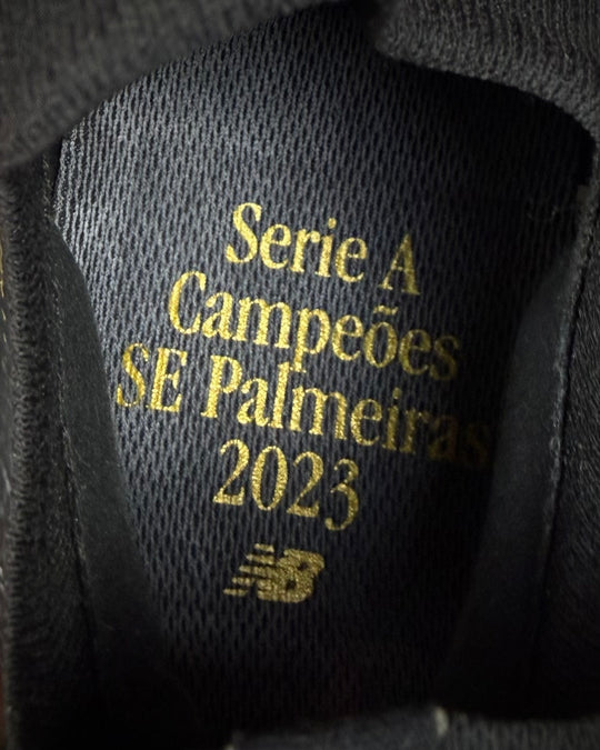 Endrick | Palmeiras